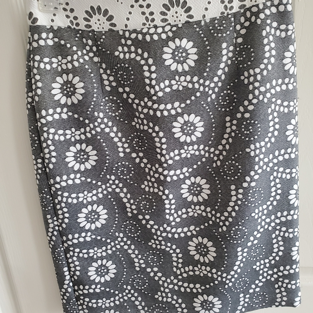 Banana Republic Skirt